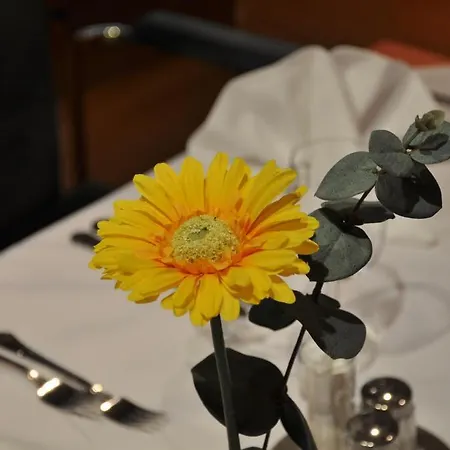 Gasthof Zum Roten Thurm Inn *